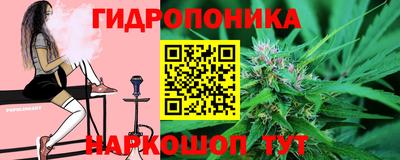 не бодяженный Гай