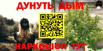 не бодяженный Гай