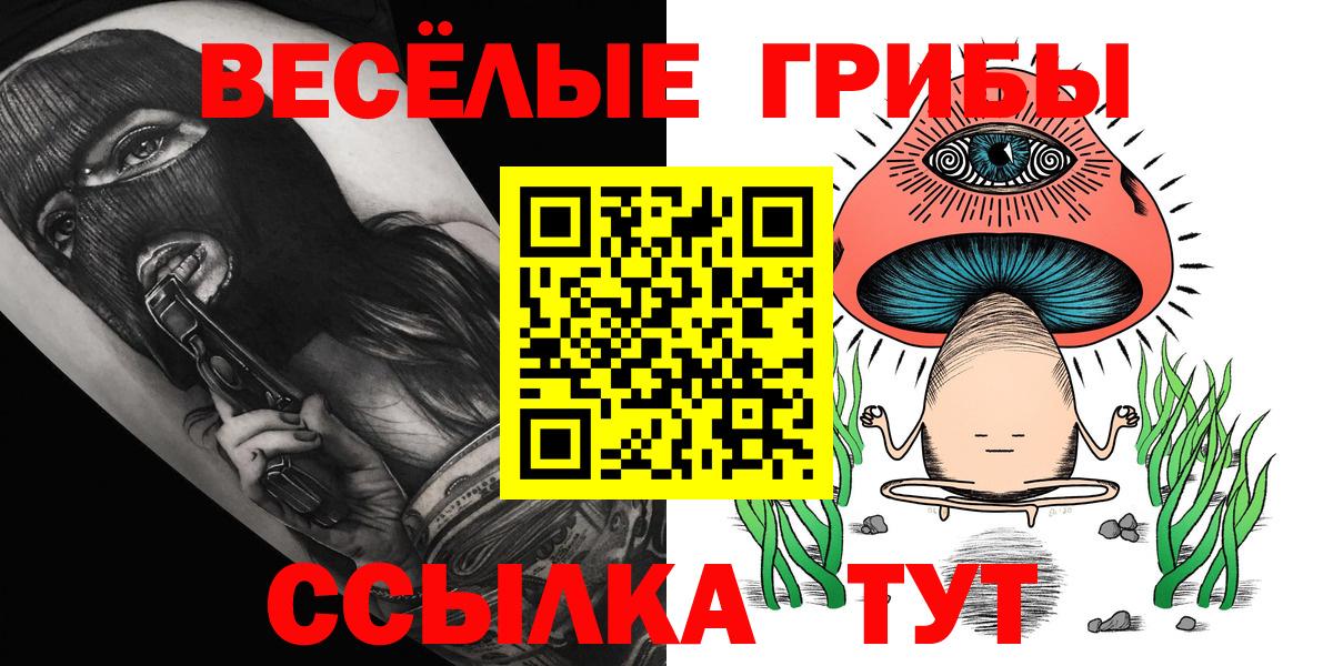 Нефтекумск  Галлюциногенные грибы Psilocybe  Вход с VPN 